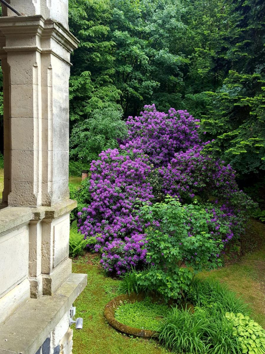 Romantic Chateau Krasna Lipa - Housity