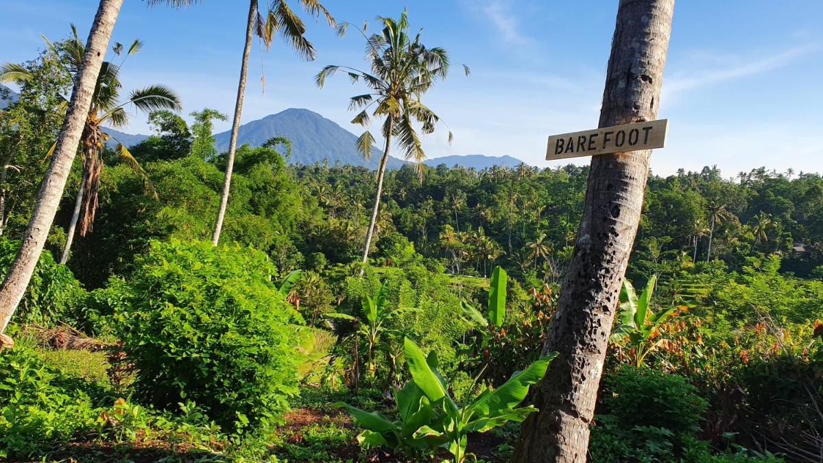Hara Bali Eco Homestay - Housity