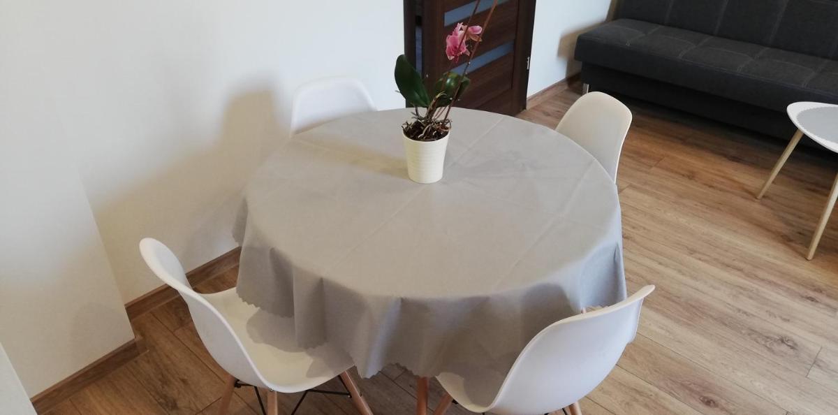 Lion Apartment - Hizvo