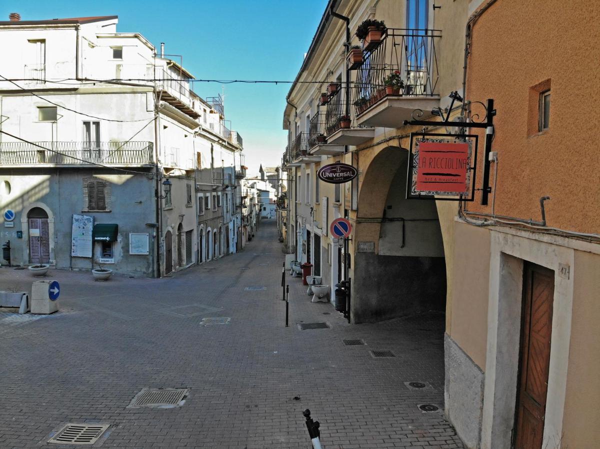 LA RICCIOLINA B&B - Housity