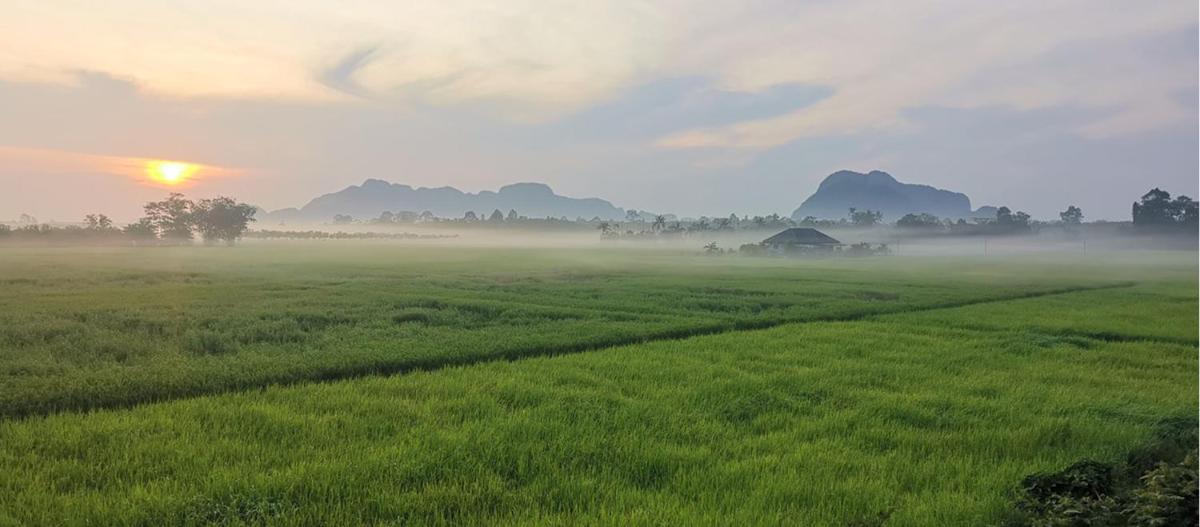 Private cozy family house, paddy field scenery - Housity