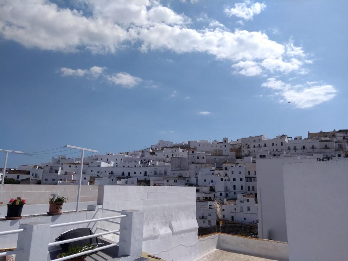 La Lectora - Housity
