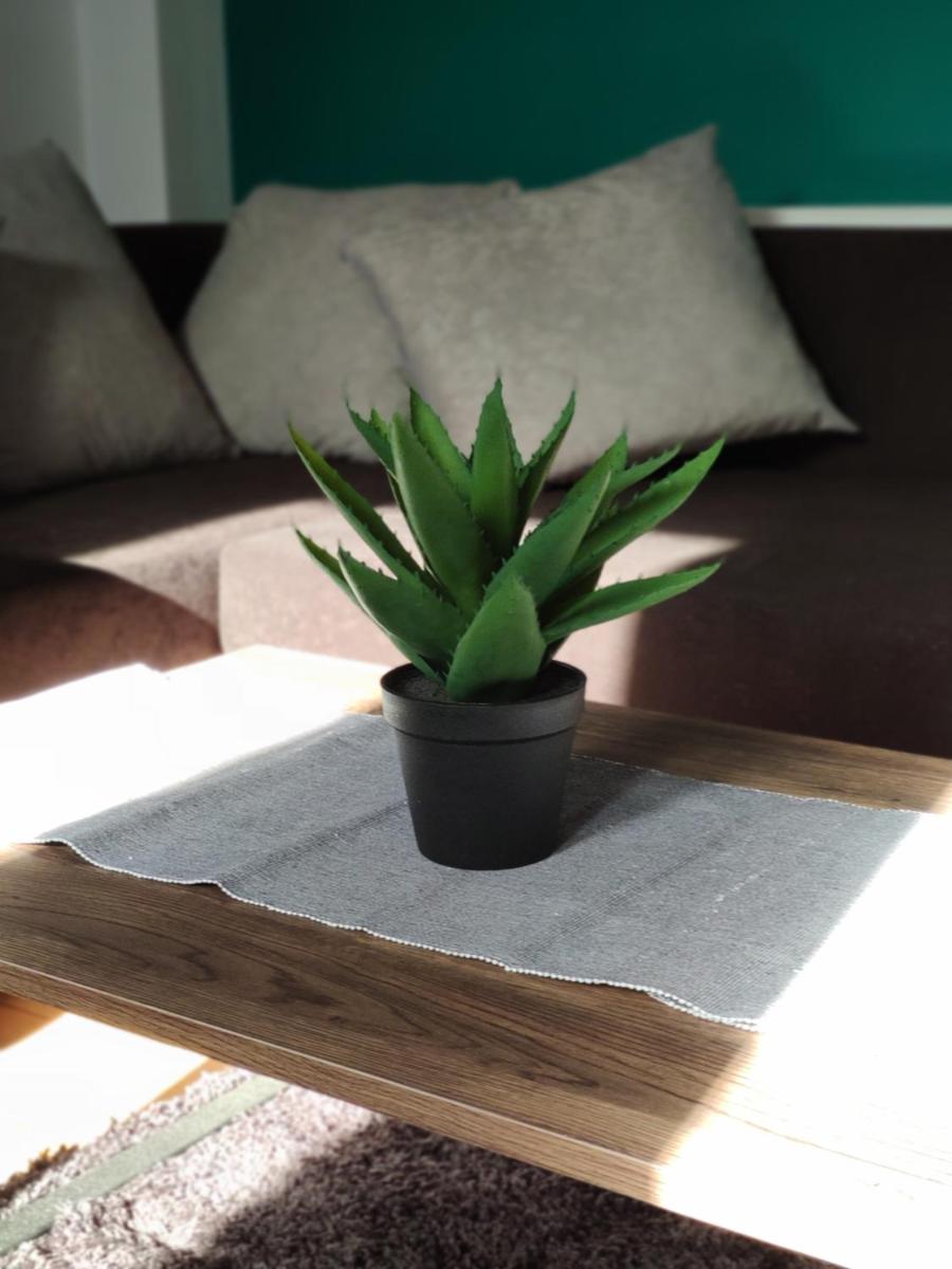 City-Center Apartment - Housity