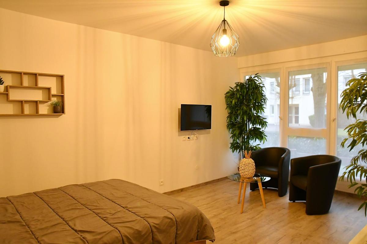 Appartement Tropical et JACUZZI Balnéothérapie Draveil - Housity