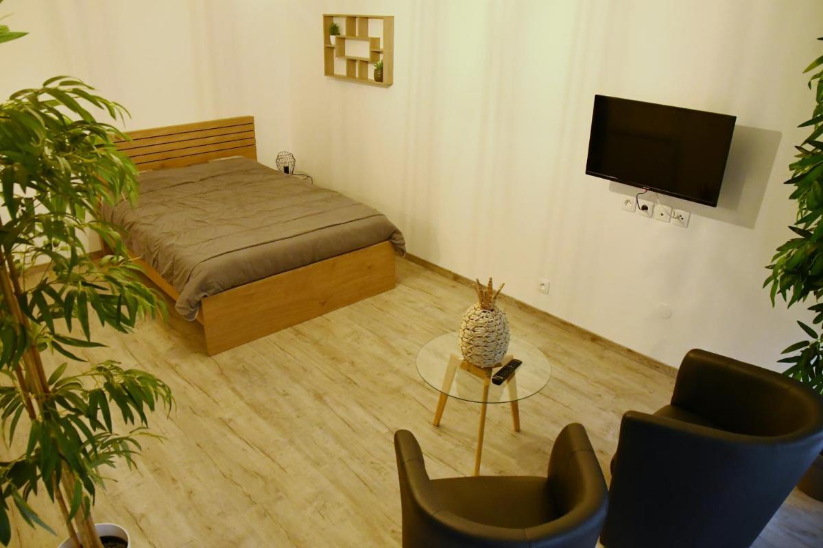 Appartement Tropical et JACUZZI Balnéothérapie Draveil - Housity