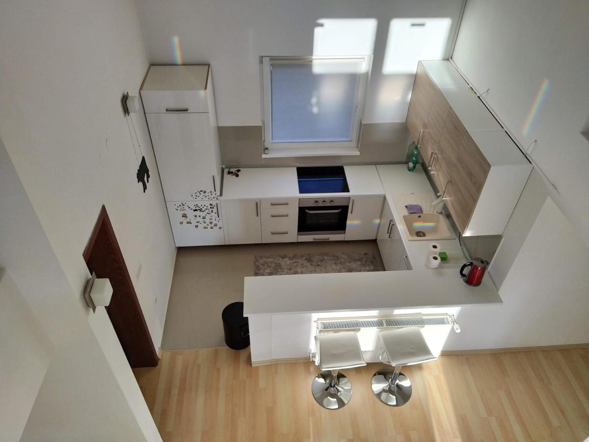 Oasis of Peace Modern House - Hizvo
