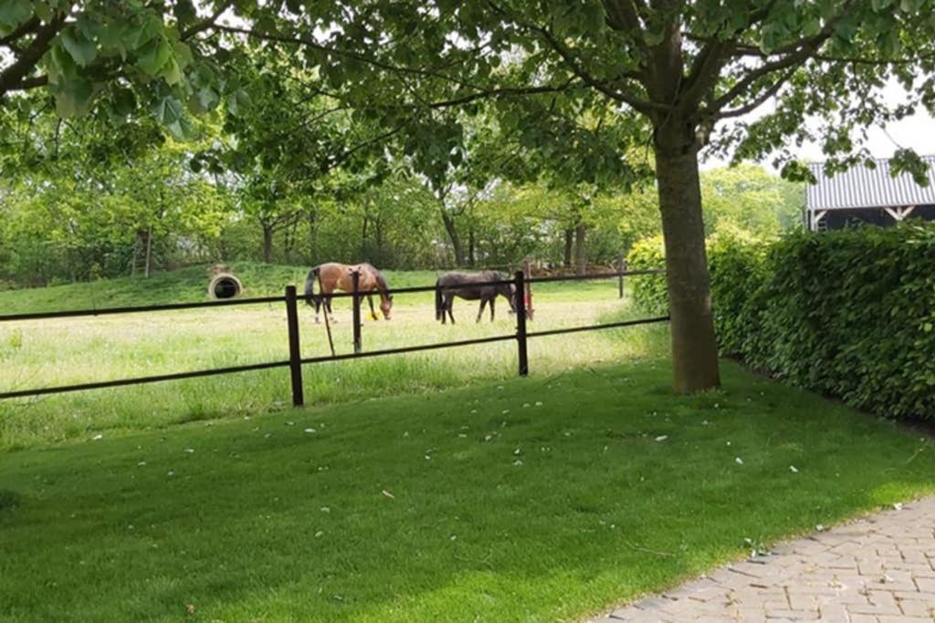 De Slaaperij - Housity