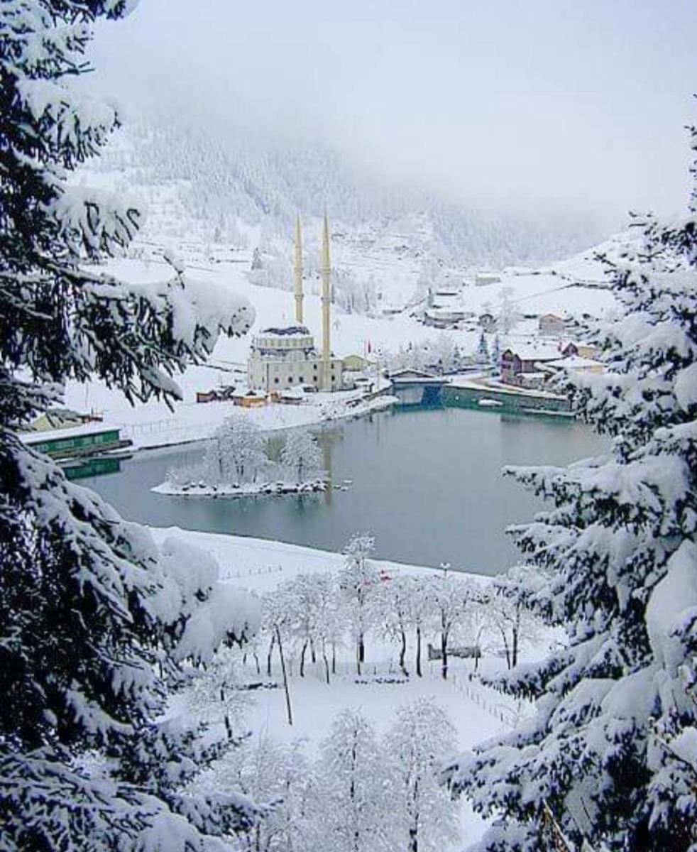 MAVİ KÖŞK UZUNGÖL - Housity