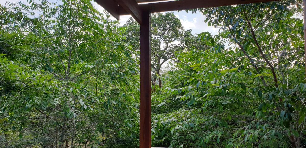 Maya Hill Lodge - Housity