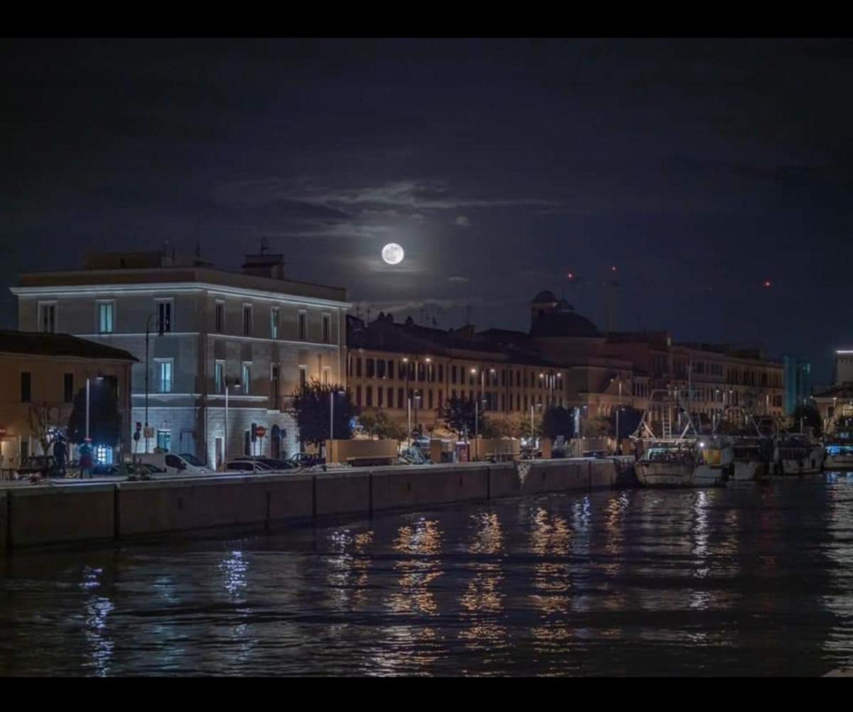 Pisicchio Rooms - Housity
