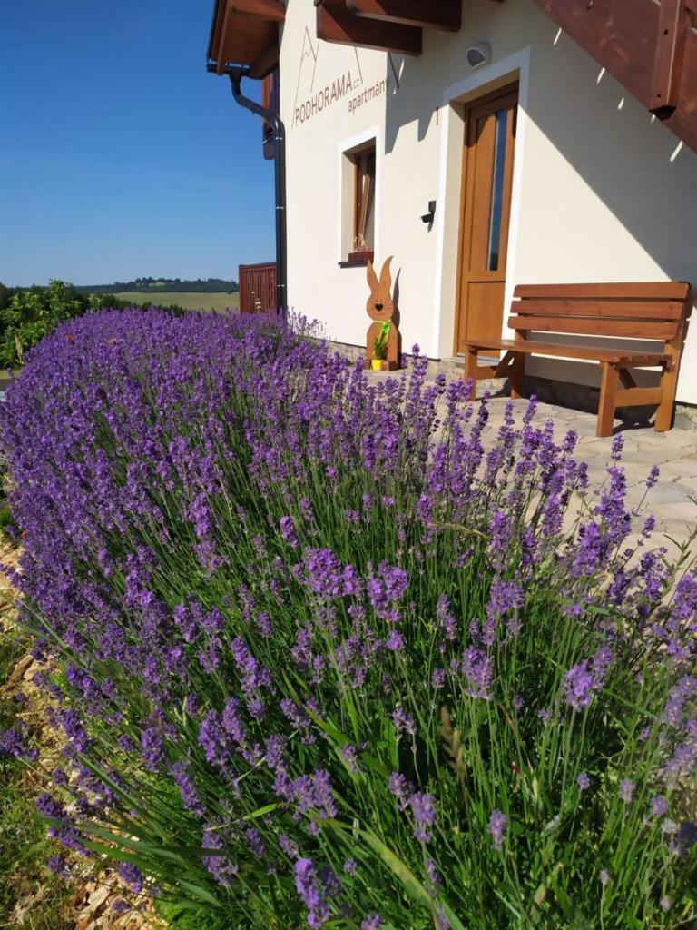 Apartmany Podhorama - Housity