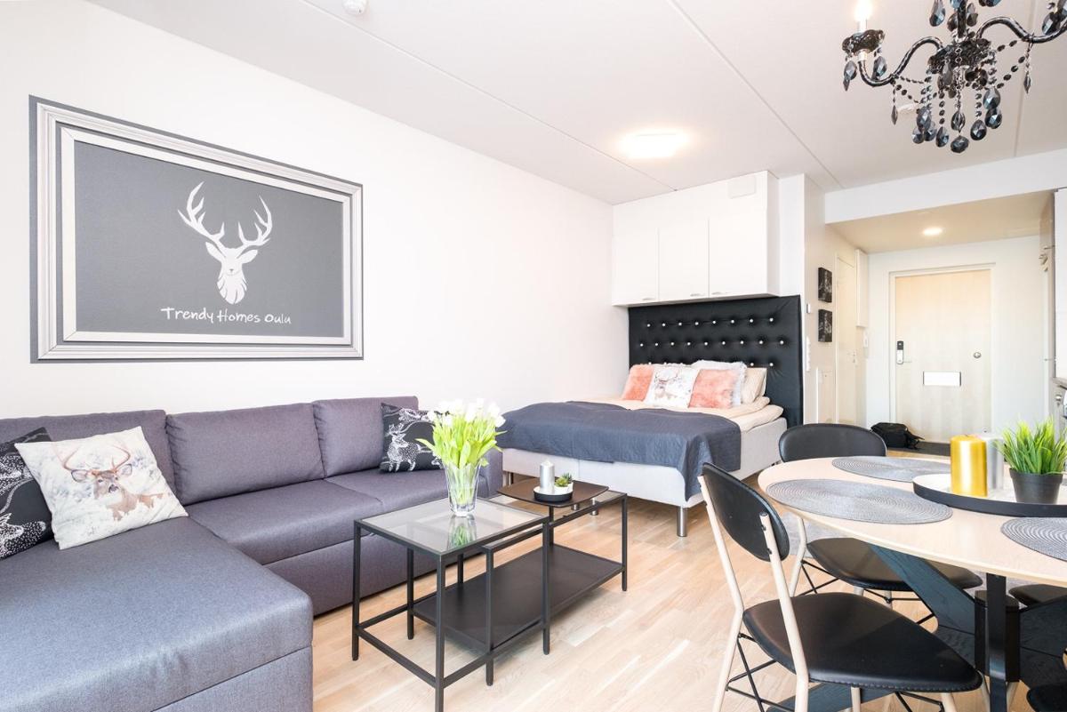 Trendy Homes Oulu Apartments - Housity