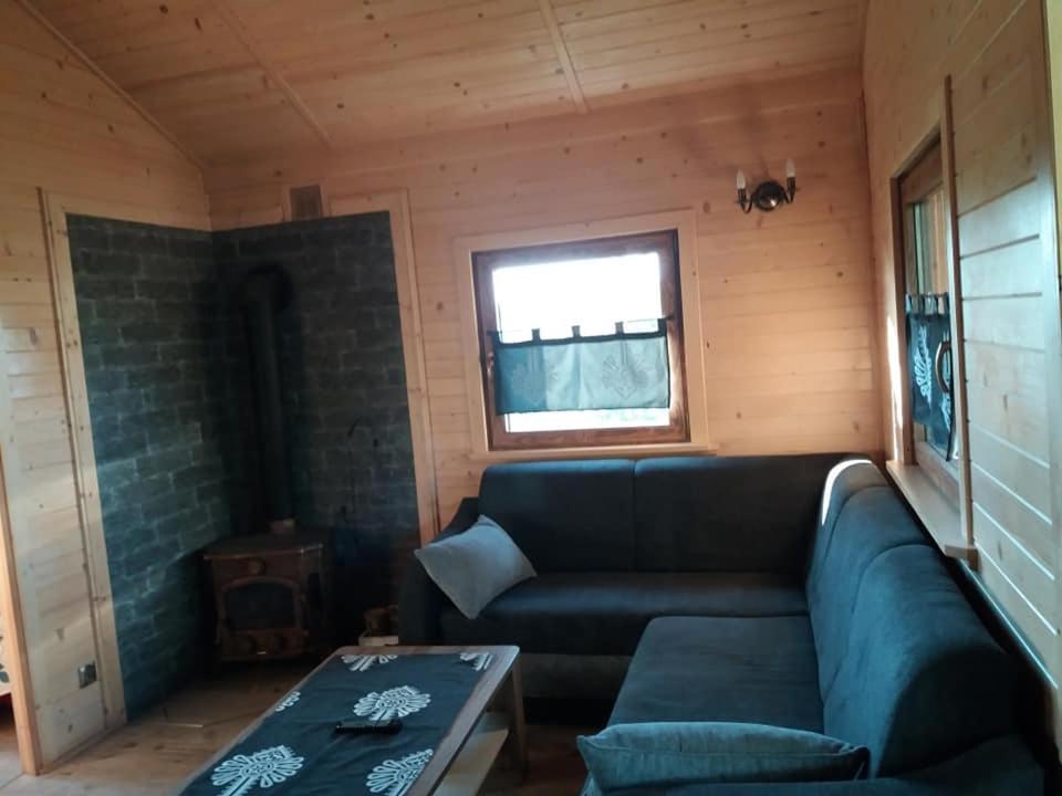 Domek letniskowy - Świętne nad jeziorem Wilczyńskim - Housity