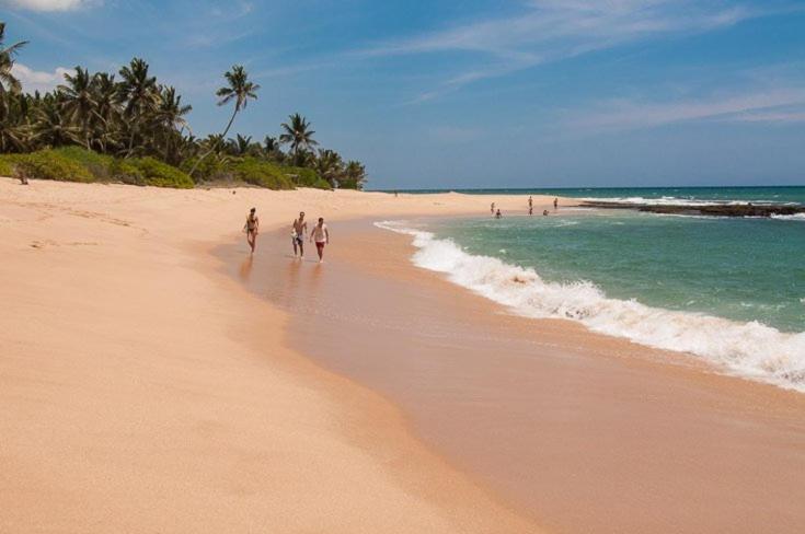 Seagulls Garden Cabanas - Housity