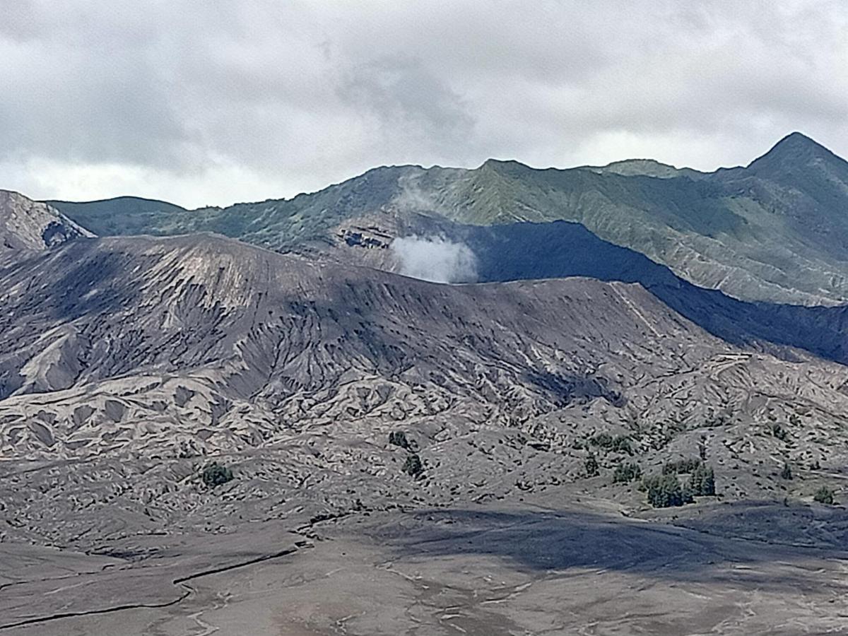 Istana Bromo Resort - Housity