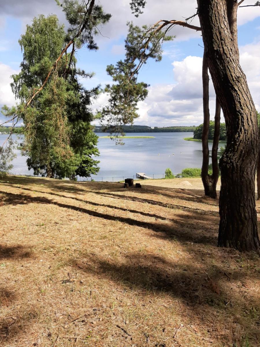Pensjon Paradise - Housity