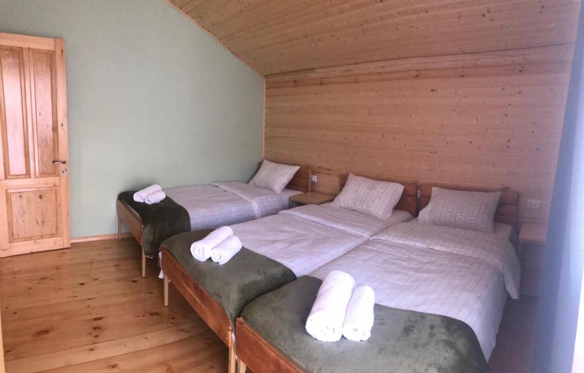Cozy Place in Kazbegi - Housity