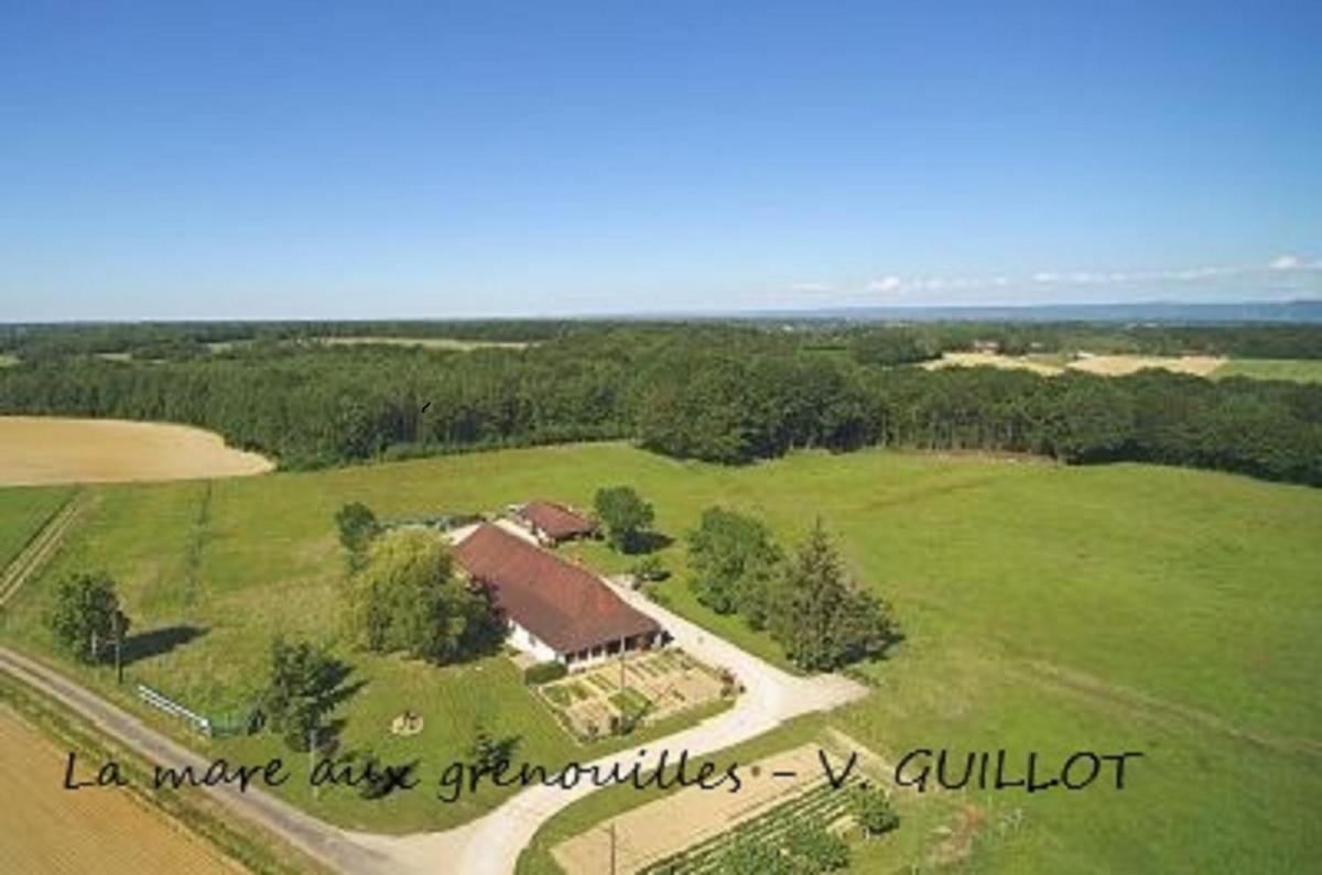 La mare aux grenouilles - Housity