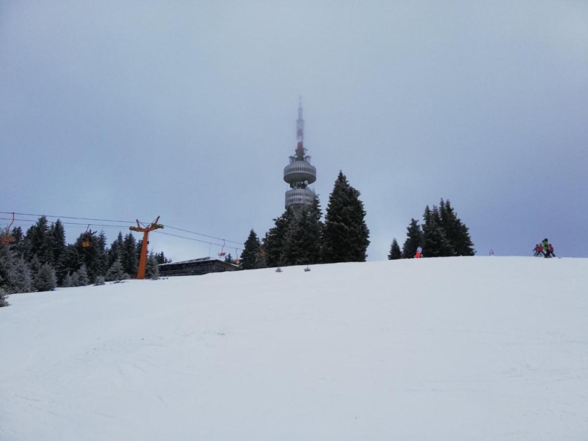 Snowy dreams Pamporovo - Housity