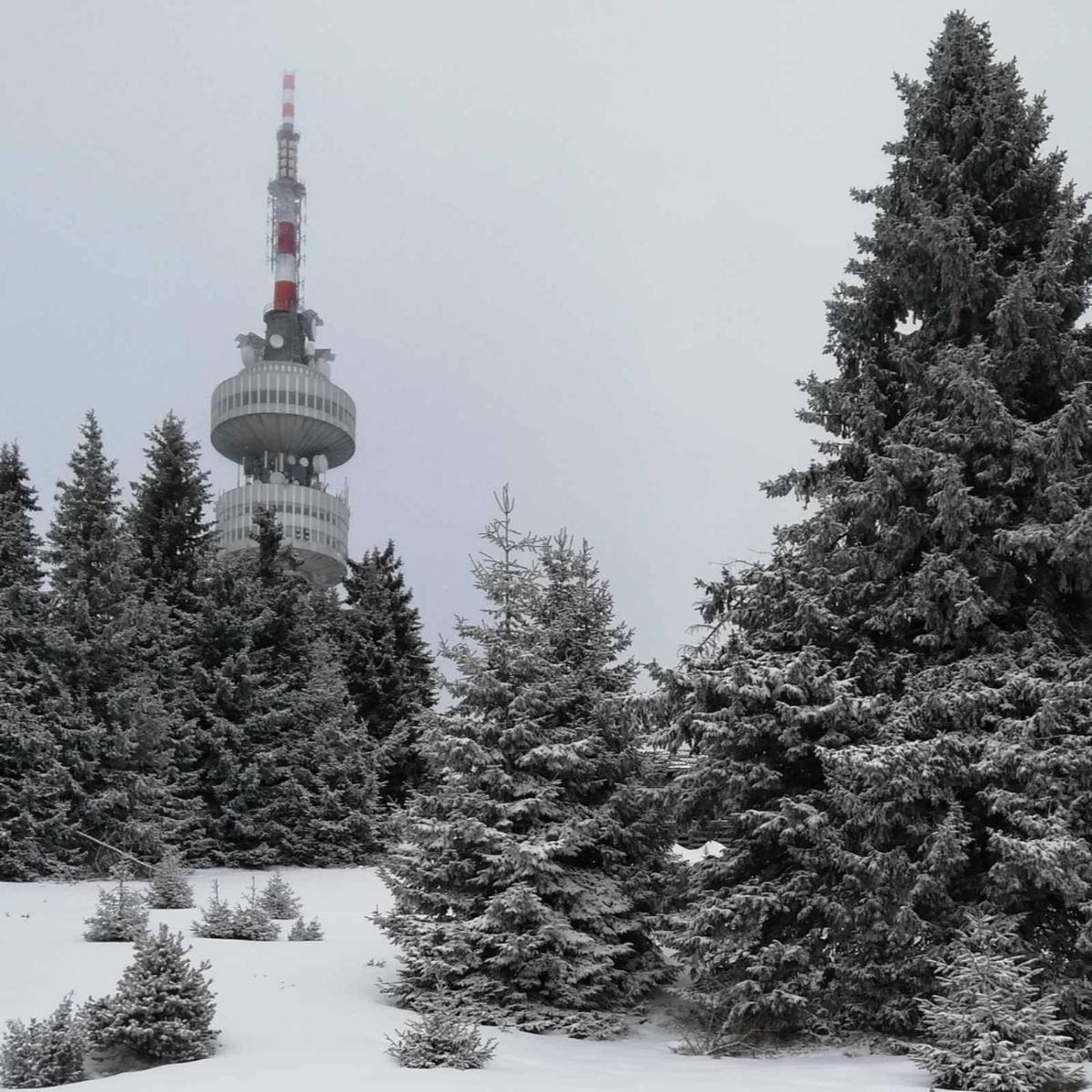 Snowy dreams Pamporovo - Housity