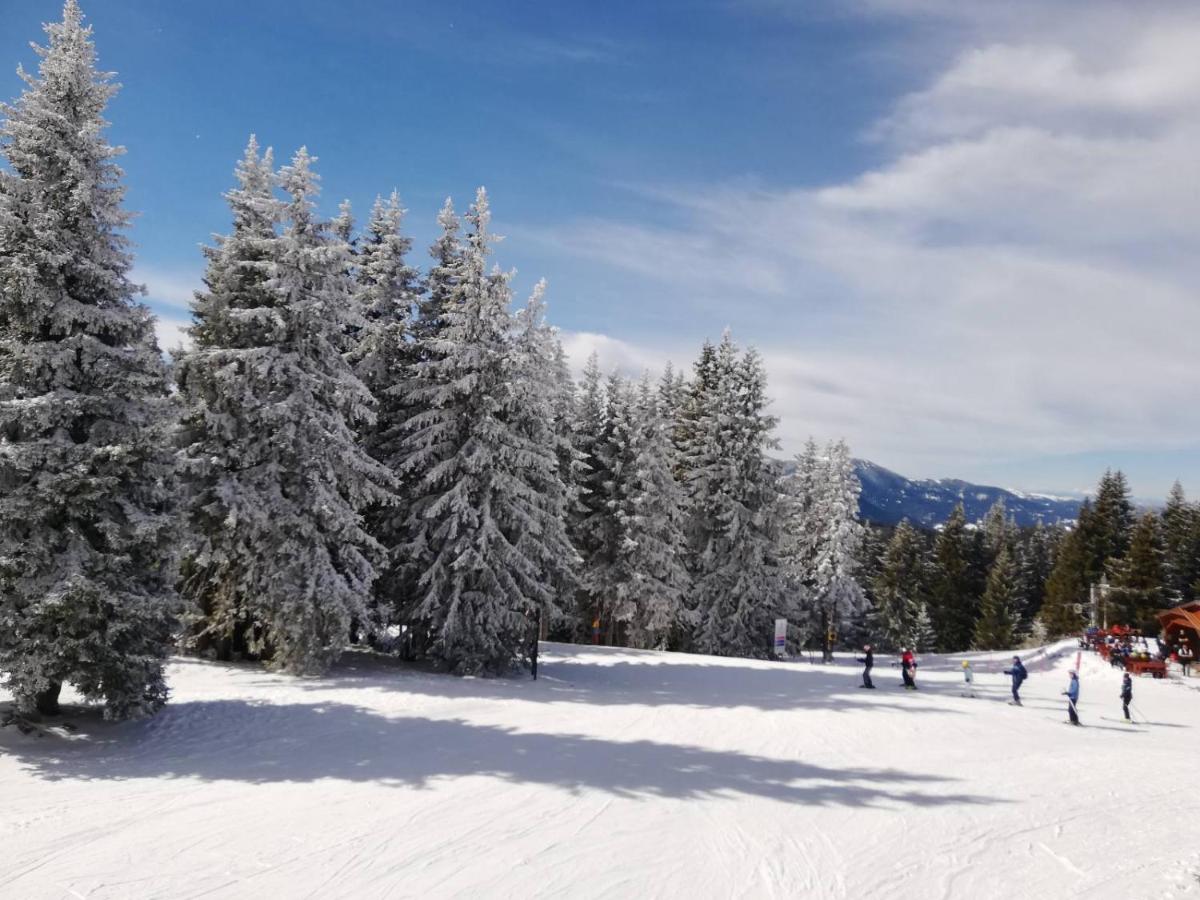 Snowy dreams Pamporovo - Housity