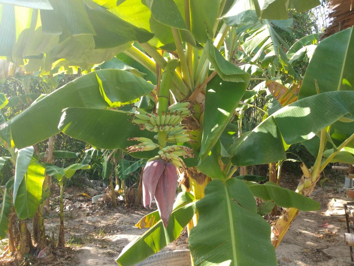 Meechok organic home - Housity