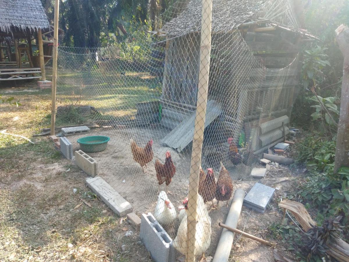 Meechok organic home - Housity