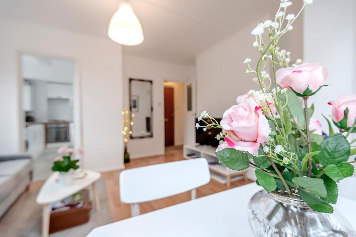 Modern One Bedroom Victoria Apartment - Housity