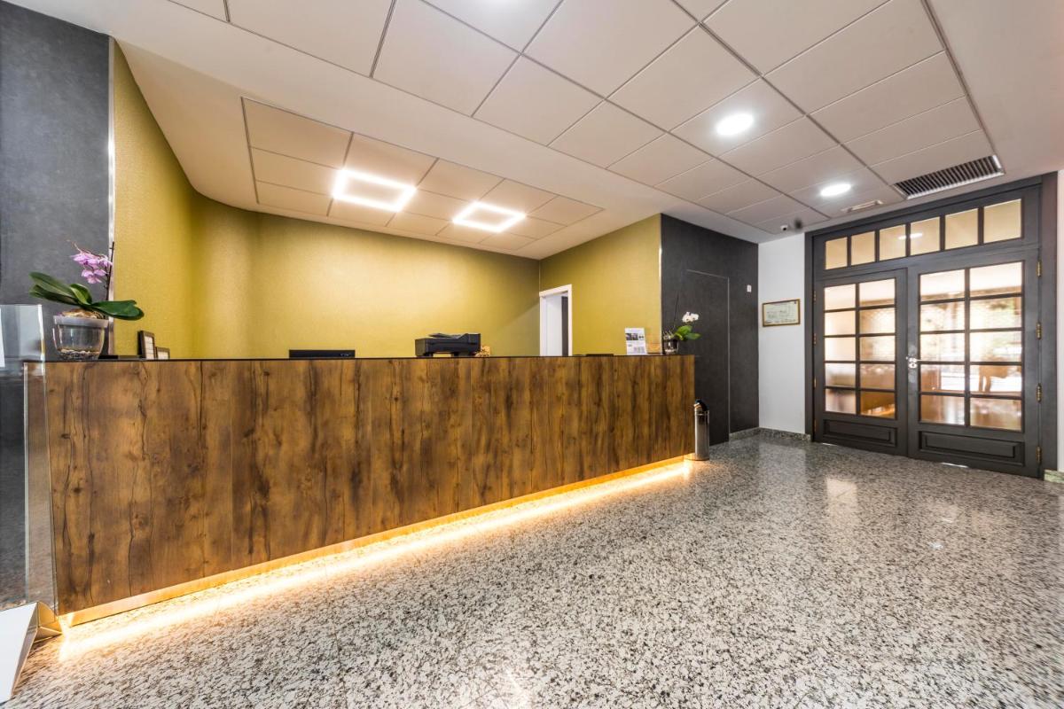 El vestíbulo o zona de recepción de Hotel Rosaleda del Mijares