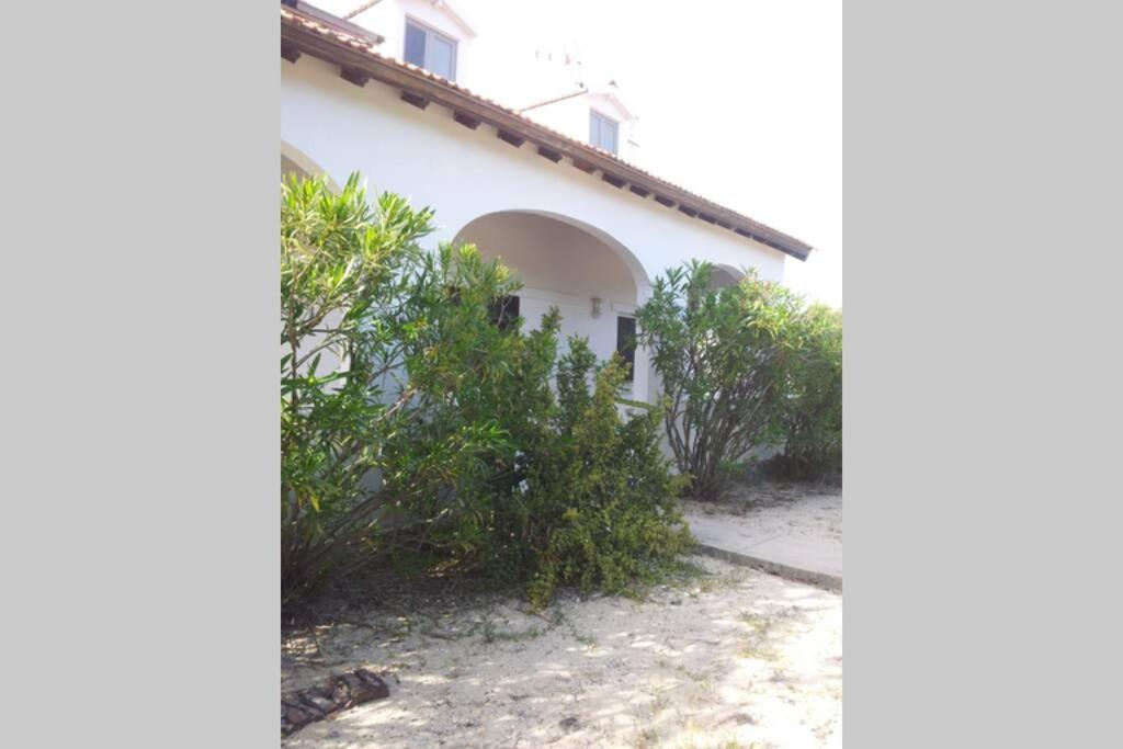 Beach House - Tavira Island - Housity