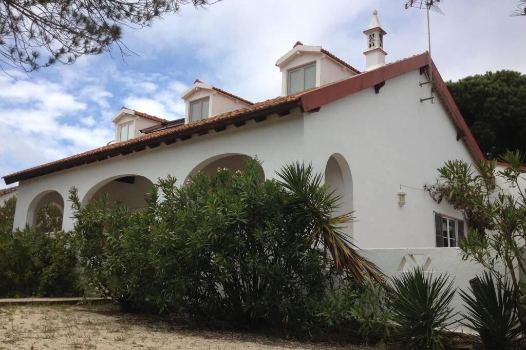 Beach House - Tavira Island - Housity