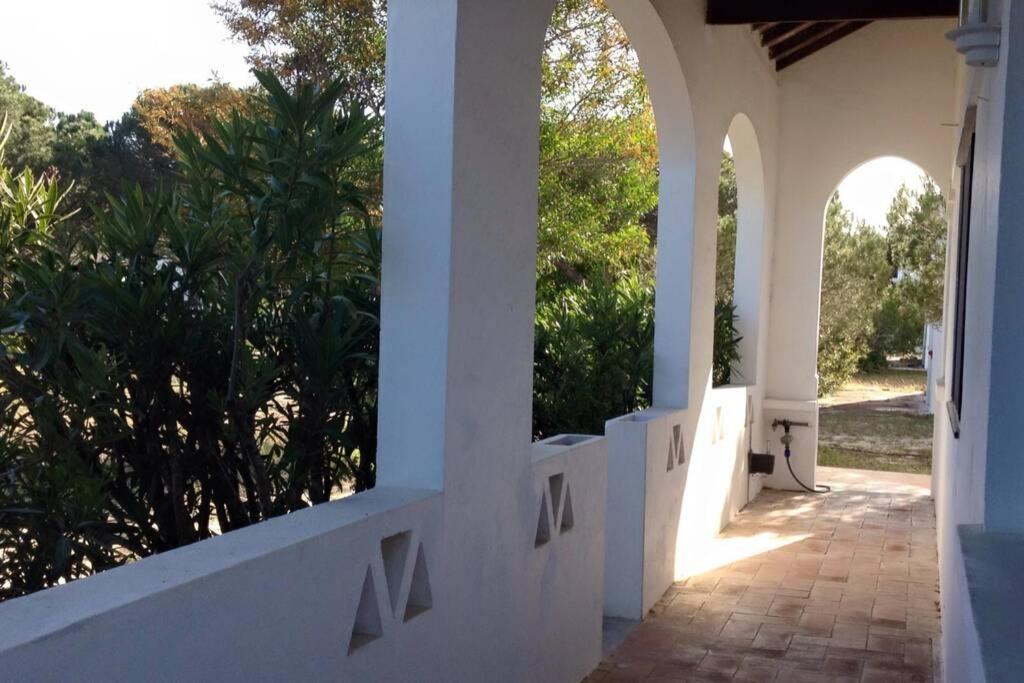 Beach House - Tavira Island - Housity
