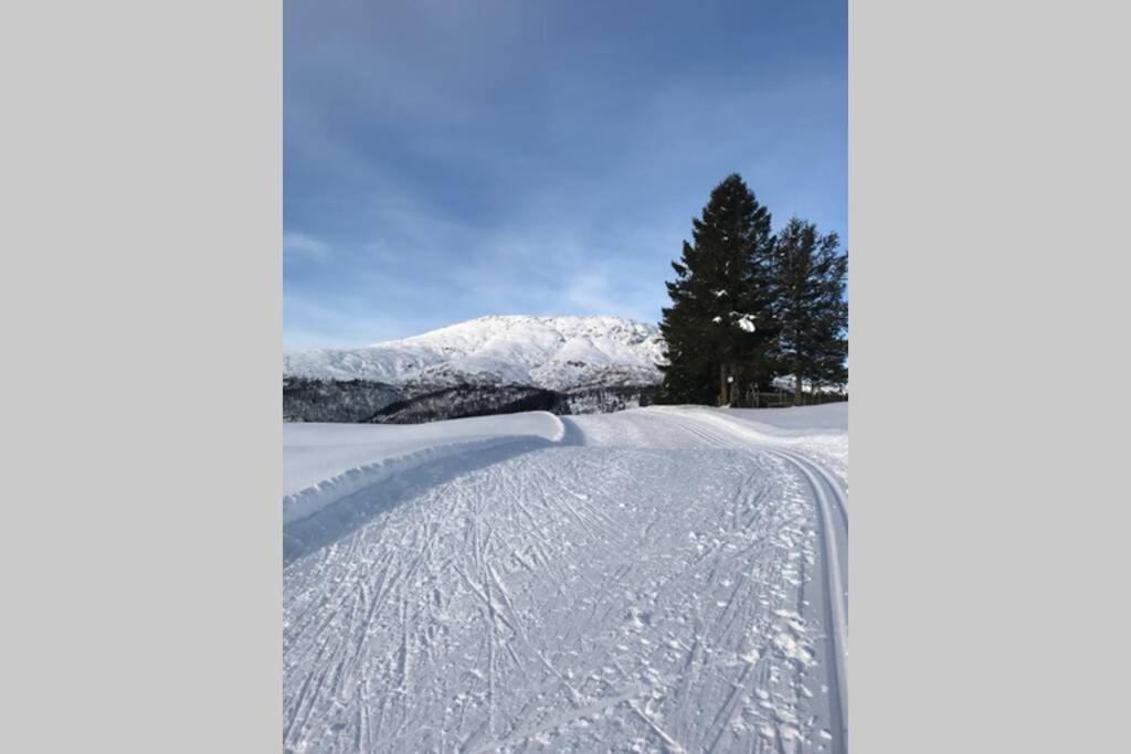 Panoramaresort in Hardangerfjord with boat to rent - Seaside Studio for 4 personer - Housity