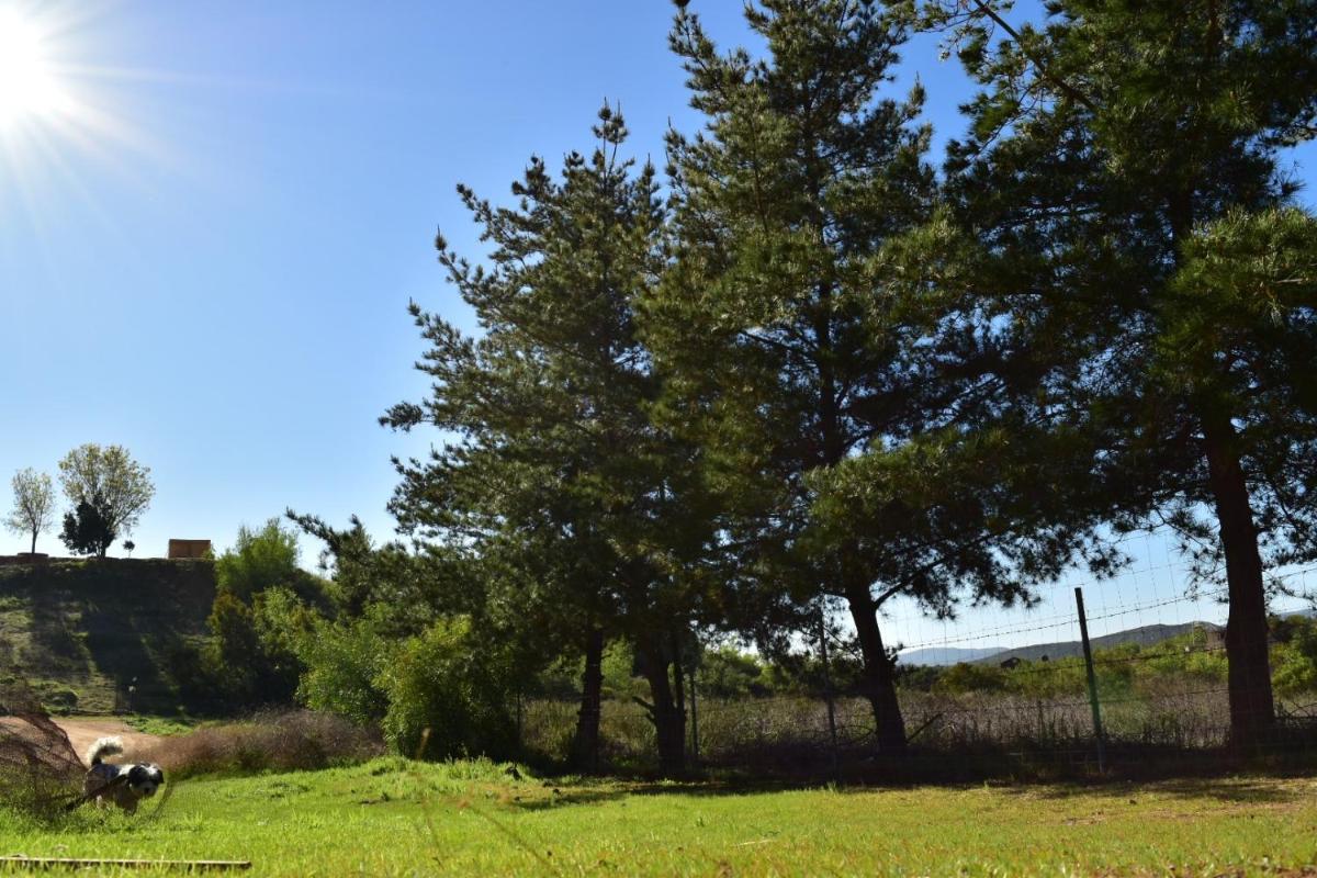Bajo el Sol del Valle - Housity