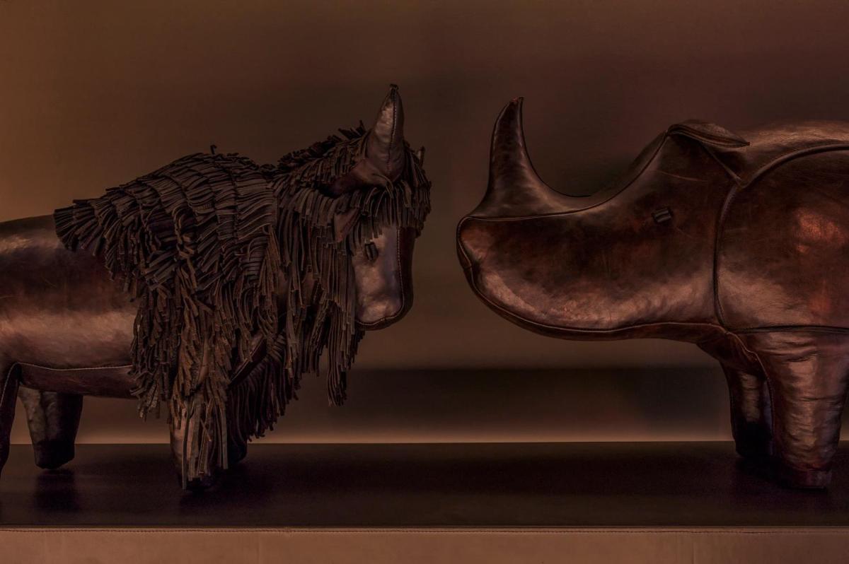 Tiere im Hotel oder in der Nähe
