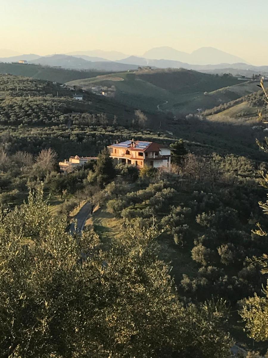 L'Oleandro - Housity