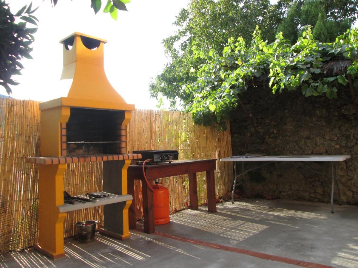 La Salamandra - Housity