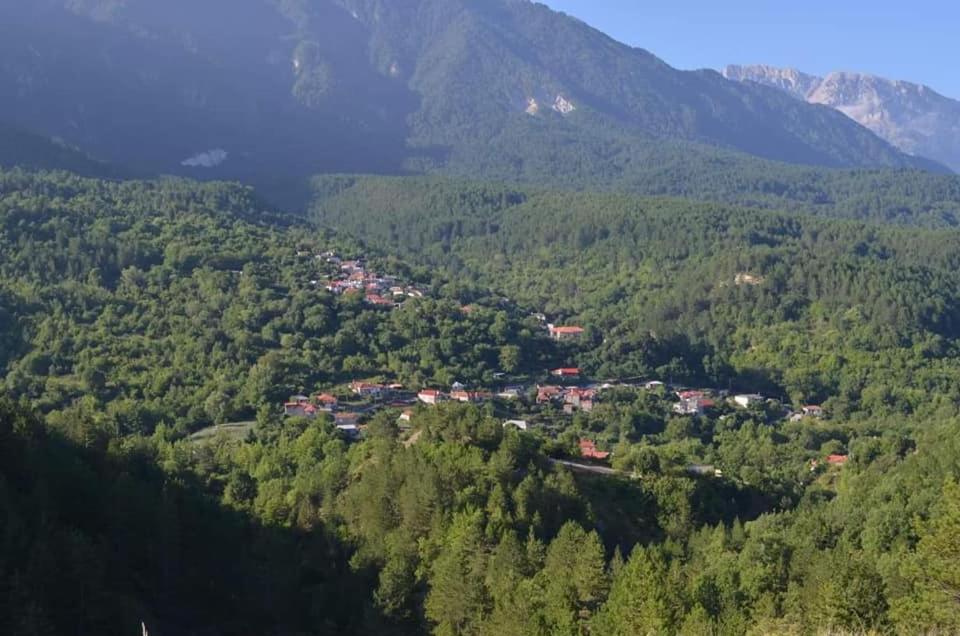 Peklaritiko Steki - Housity