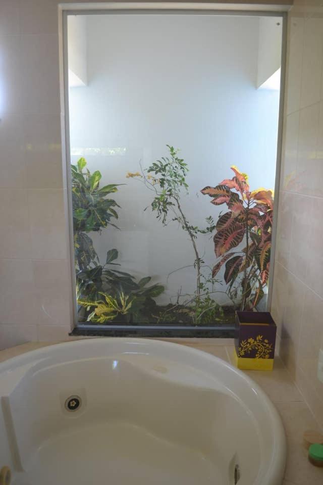 Suitetrails - Front Sea House in Serra Grande with Private Pool and 10000 sqm of land