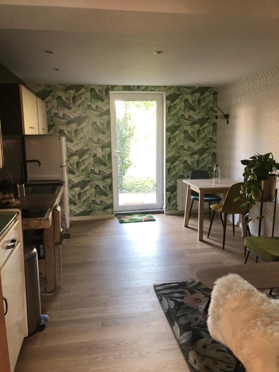 Appart Jungle - Housity