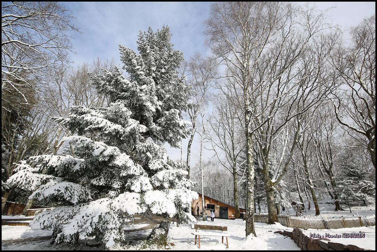 L'établissement Domaine du Hirtz, Restaurant & Spa en hiver