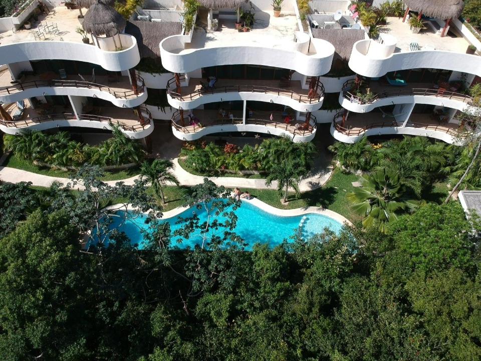 Selva Madre 203 - Housity