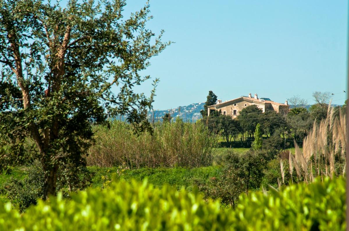 Paisaje cerca de este hotel