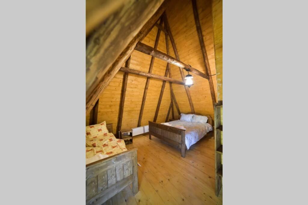 Casa Floarea Soarelui - Poiana Creasta Cocoșului - Housity