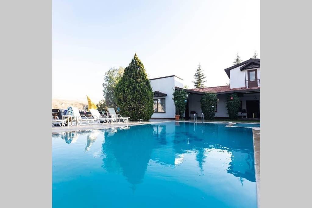 Huge Villa with Swimming Pool in Ankara - Housity