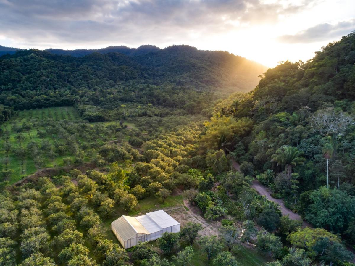 CHARMING JUNGLE HOME ON PRIVATE ORANGE ORCHARD - Housity