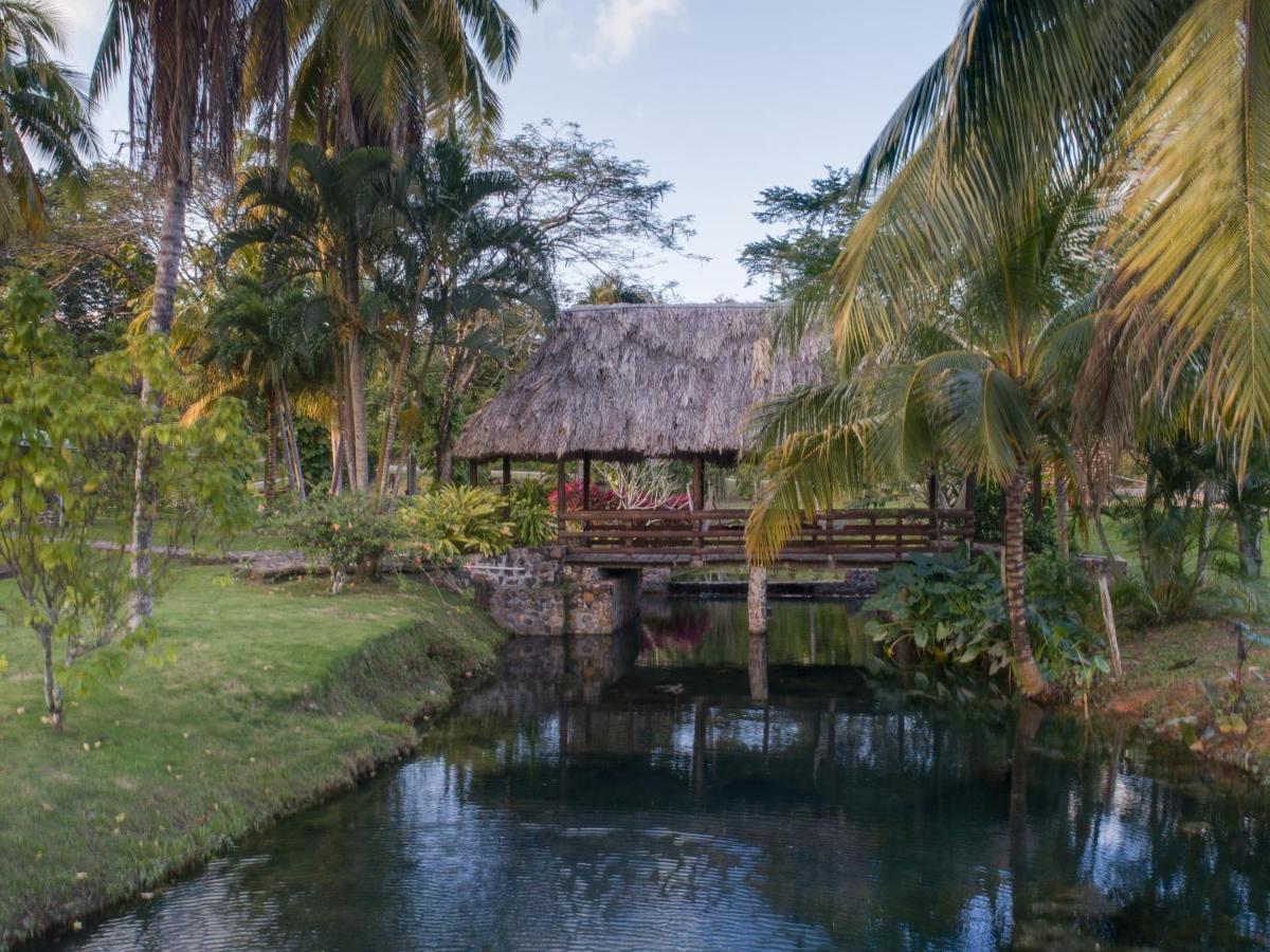 CHARMING JUNGLE HOME ON PRIVATE ORANGE ORCHARD - Housity