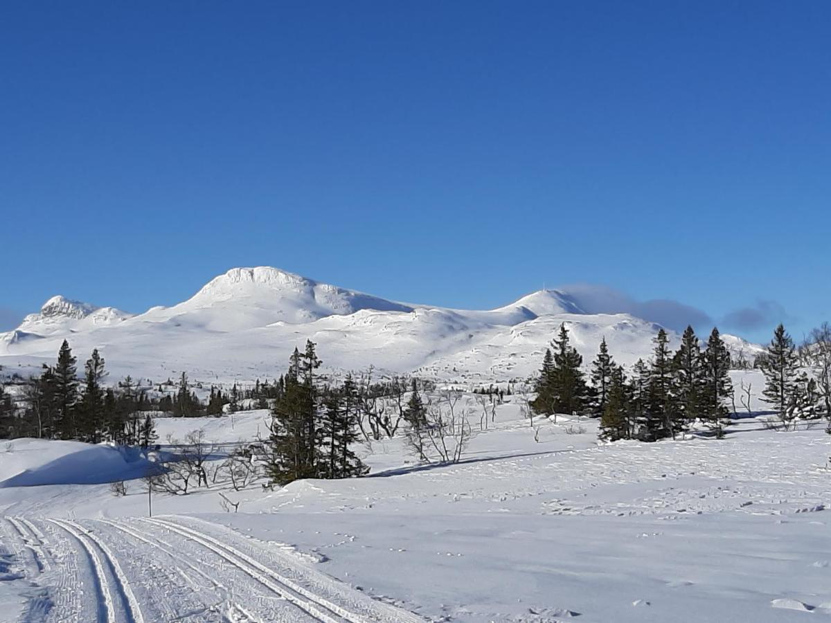 Gamlestugu Greivjord Fjellgard - Housity