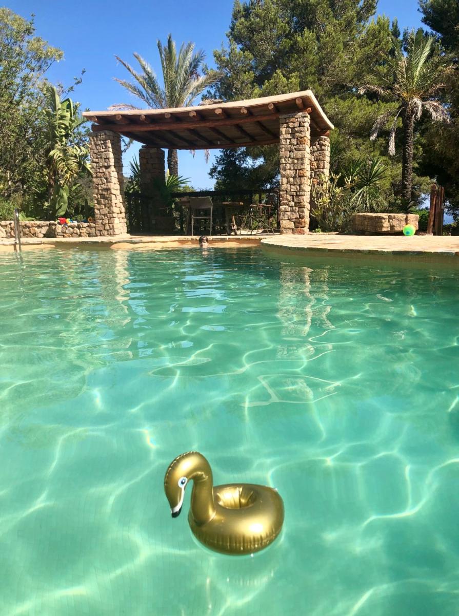 Piscina en o cerca de Agroturismo Can Talaias San CArlos