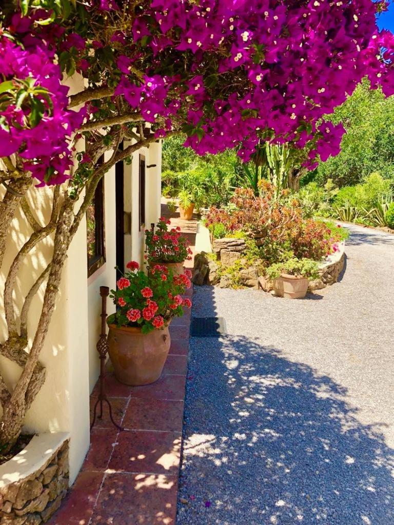 Jardín al aire libre en Agroturismo Can Talaias San CArlos